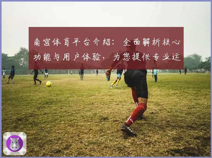 南宫体育平台介绍：全面解析核心功能与用户体验，为您提供专业运动服务