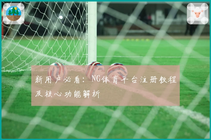 新用户必看：NG体育平台注册教程及核心功能解析