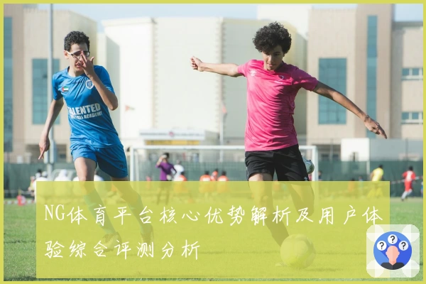 NG体育平台核心优势解析及用户体验综合评测分析